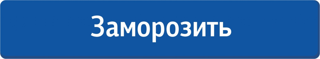 Кнопка Заморозить.jpg